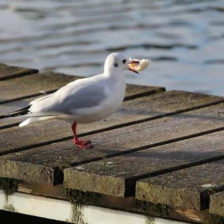 Hotell Hotelhafenwedel