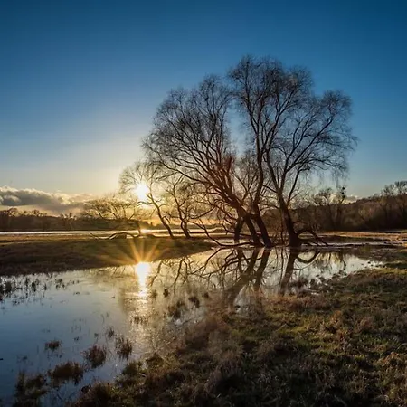 Hotelhafenwedel Wedel