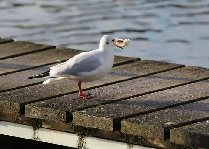 Hotel Hotelhafenwedel