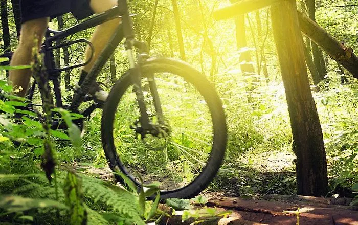 Hotelhafenwedel Ξενοδοχείο